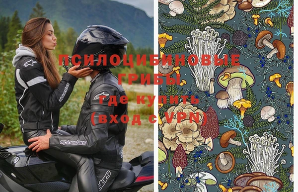 спиды Дмитровск