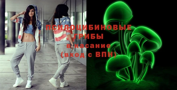 a pvp Дмитров