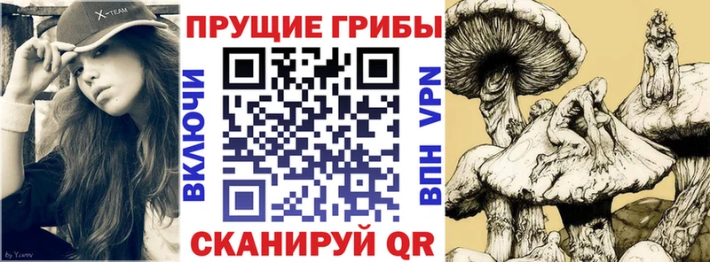 Галлюциногенные грибы мицелий  купить наркотики цена  Новомосковск 